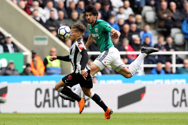 重量级荣誉 重量级荣誉