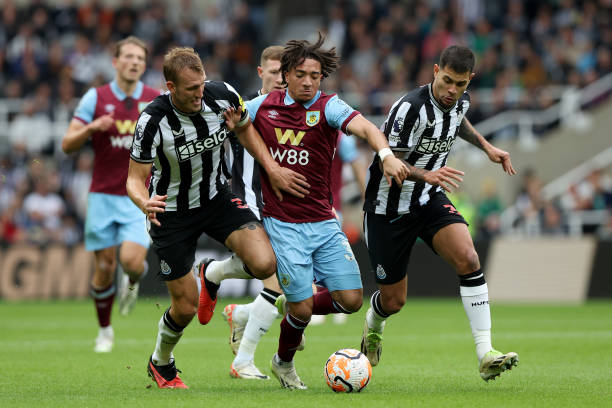 特质可以显 特质可以显